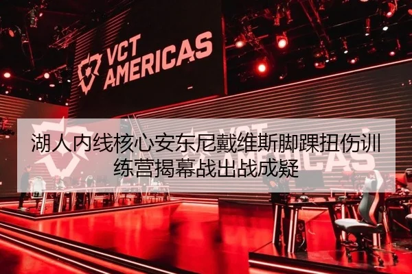 湖人内线核心安东尼戴维斯脚踝扭伤训练营揭幕战出战成疑