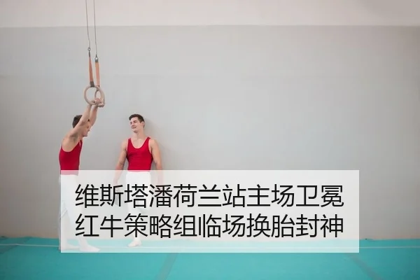 维斯塔潘荷兰站主场卫冕 红牛策略组临场换胎封神